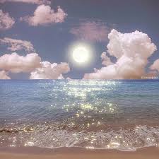 Ảnh đại diện người dùng Phạm Đức